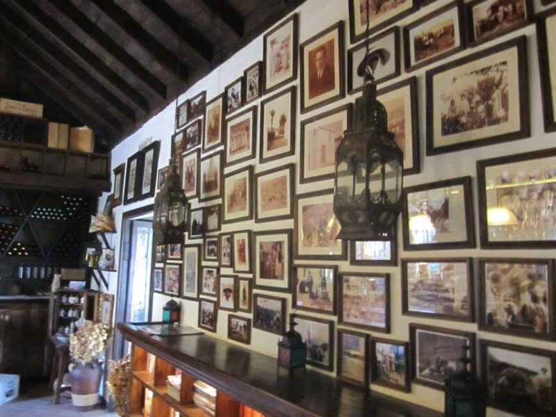 Fuerteventura: Island Tour by Minibus - Final Thoughts