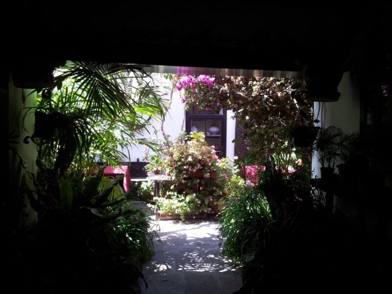 Fuerteventura: Island Tour by Minibus - FAQ