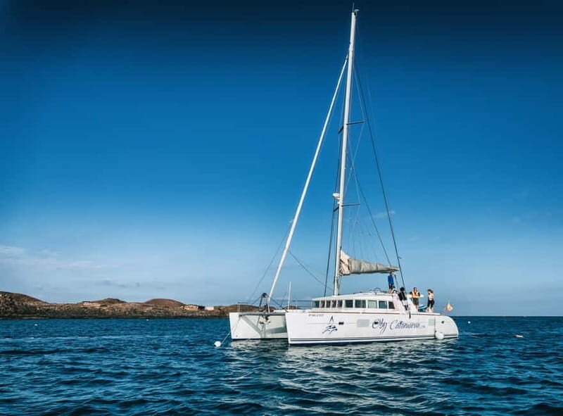 Fuerteventura: Lobos Island Catamaran Cruise with Lunch - Key Points