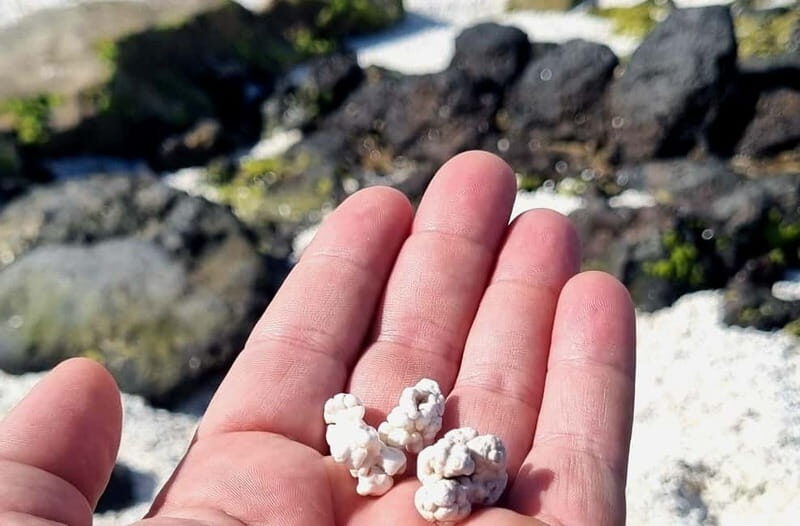 Fuerteventura North with Tapas (food) - Practical Details and Considerations