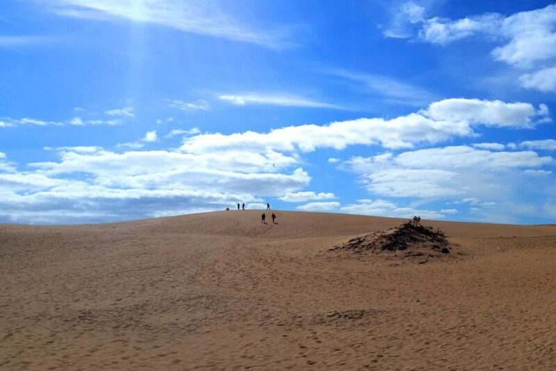 Fuerteventura: Panoramic Tour - Transportation and Group Size