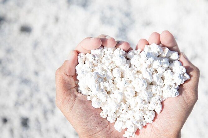 Fuerteventura: PRIVATE Historical Island Sightseeing Grand Tour - A Deep Dive into the Fuerteventura Private Grand Tour