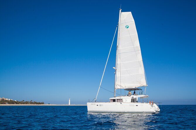 Fuerteventura: Small-Group Magic Deluxe Catamaran Cruise - Transportation and Meeting Point