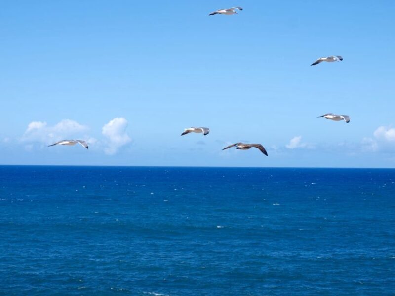 Fuerteventura sunset hike to the wild west coast - An In-Depth Look at the Fuerteventura Sunset Hike