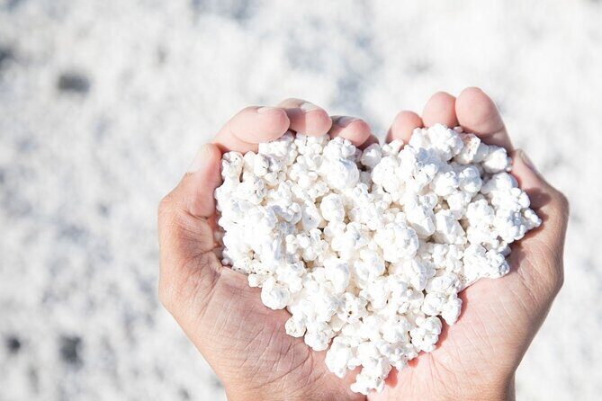 Fuerteventura: The Panoramic Experience. ALL historic highlights. - An honest look at a well-rounded island tour