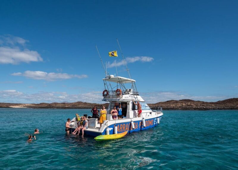 Fuerteventura: Whale & Dolphin Watching Boat Tour with Guide - Fuerteventura: Whale & Dolphin Watching Boat Tour with Guide — A Detailed Review