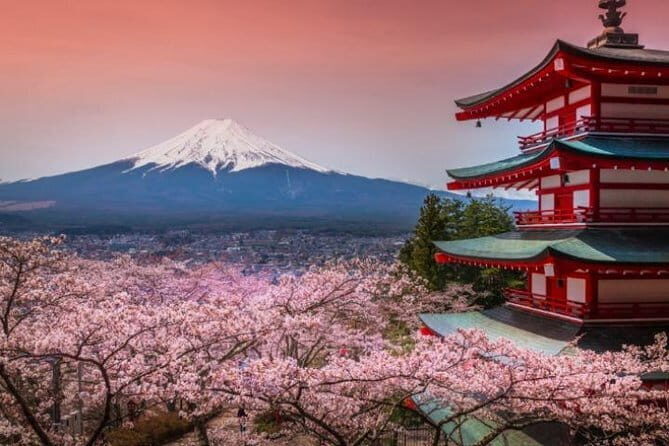 Fuji and Lake Kawaguchi Tour - Key Points
