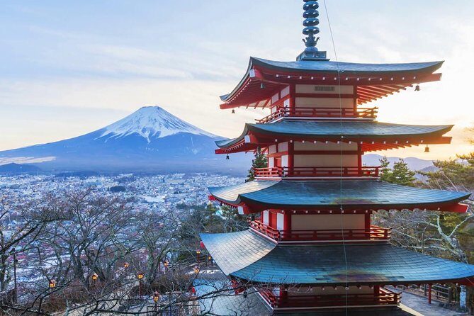 Fuji Kawaguchiko Hakone Private Car Tour - What to Expect from the Fuji Kawaguchiko Hakone Private Car Tour