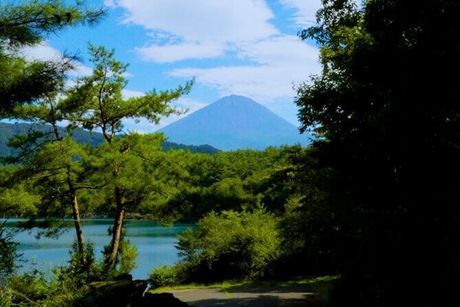 Fuji Photo Tour - Practical Considerations and Tips