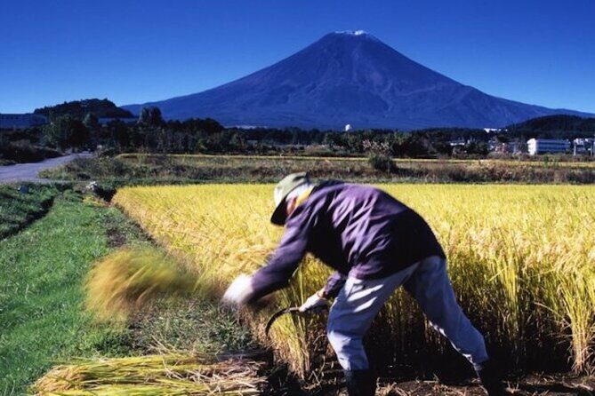 Fuji Speedway Self Drive & Mt. Fuji Private Tour pickup on LEXUS - FAQs
