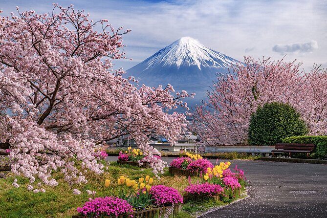 Fuji Yoshiwara Gion Festival Twilight E-Bike Tour (Two Days only) - FAQs