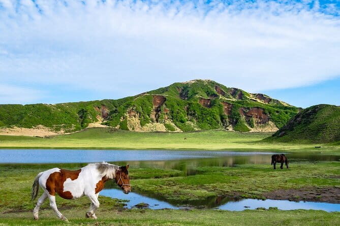 Fukuoka: Mount Aso Volcano, Kumamoto Castle, Grasslands Day Tour - Key Points