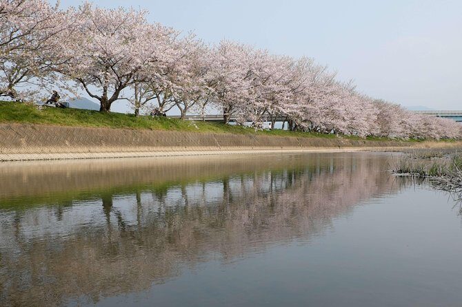 Fukuoka Private Customizable Half Day Tour - Authentic Insights from Previous Travelers