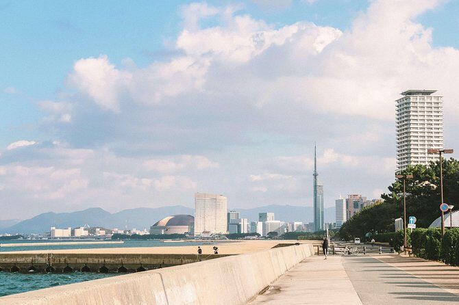Fukuoka Private Customizable Half Day Tour - Summary: The Bottom Line
