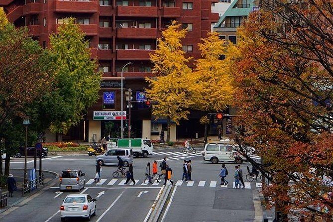 Fukuoka Private Customizable Half Day Tour - FAQ
