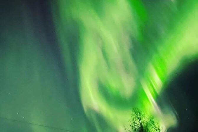 Full Alaskan Experience - FAQ