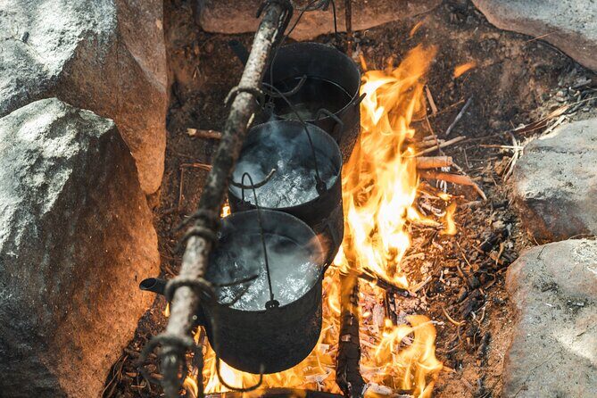 Full-Day 1770 Tour by LARC Amphibious Vehicle Including Sandboarding and Bustard Head Lightstation - Lunch on Middle Island