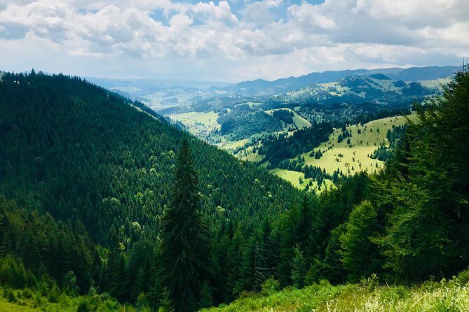 Full Day 4x4 Tour in the Eastern Carpathians - Who Will Love This Tour?