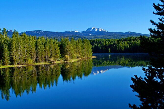 Full Day 6-Seater Can-Am Defender Max Limited UTV Rental - The Value Proposition