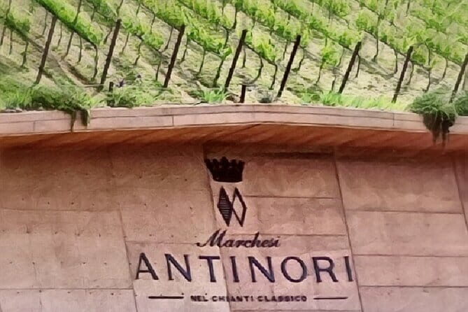 Full day 9h Private Tours 3 Top Wineries, Florence Limo Service - In-Depth Look at the Itinerary