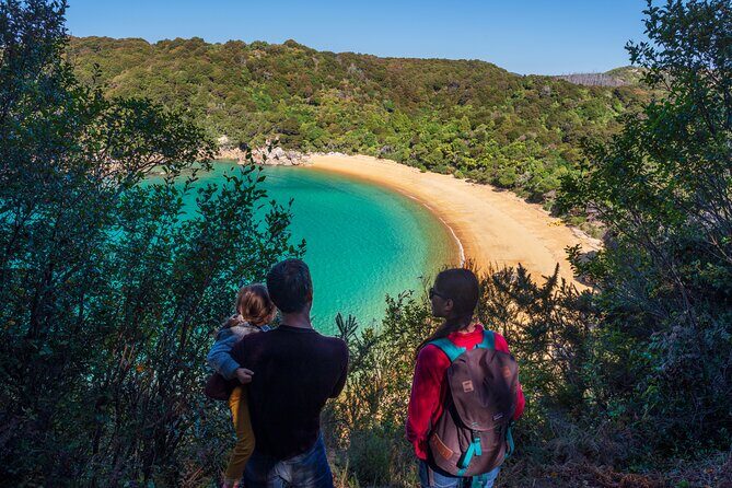 Full-Day Abel Tasman National Park Hiking Tour with Cruise - Key Points