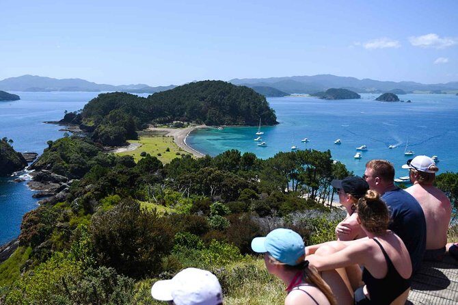 Full-Day Adventure Cruise with Lunch in Bay of Islands - Why This Tour Stands Out