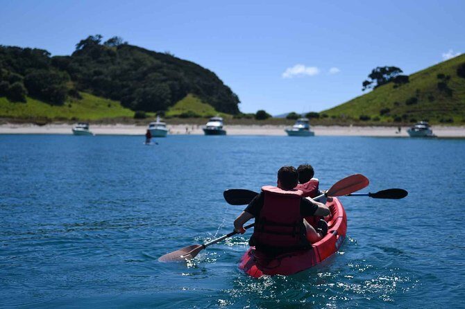 Full-Day Adventure Cruise with Lunch in Bay of Islands - FAQs