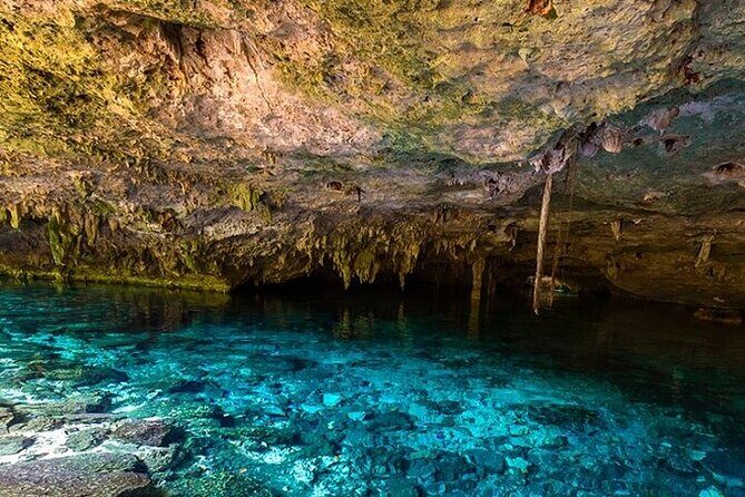 Full Day Adventure: Horses , ATV, Ziplines & Cenote w/Lunch - Who This Tour Is Best For