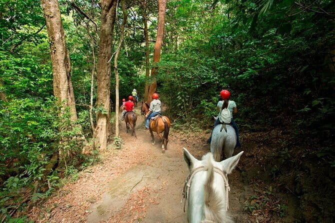 Full Day Adventure Tour - Final Thoughts: Is This Tour Right for You?