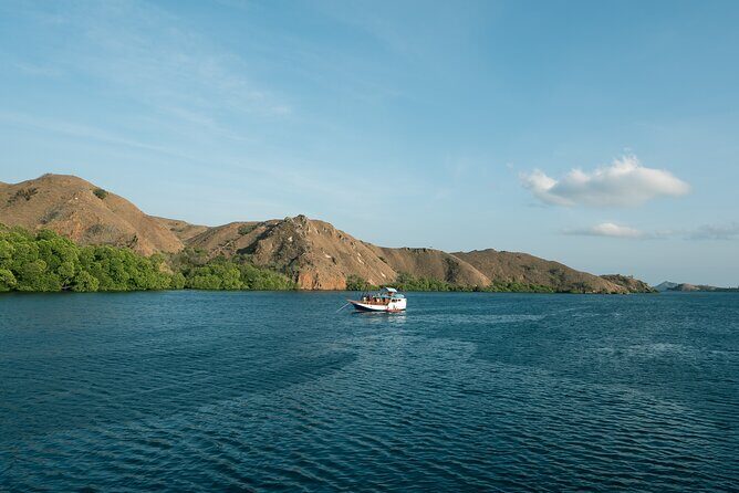 Full-Day Adventure Tour to komodo Island with join Speed Boat tur - Whats Included and Whats Not