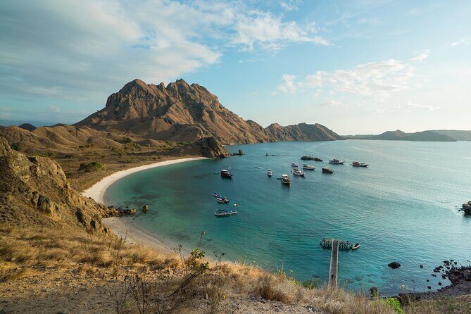 Full-Day Adventure Tour to komodo Island with join Speed Boat tur - FAQs