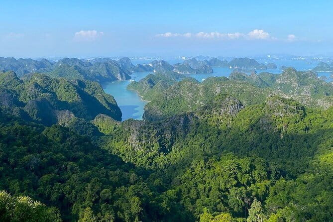 Full-Day Adventure: Trekking and Hiking in Cat Ba National Park - What Makes This Tour Stand Out