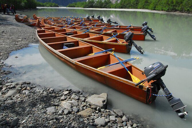 Full-Day Alaska Wildlife Voyageur Canoe Safari from Skagway - An In-Depth Look at the Alaska Wildlife Voyageur Canoe Safari