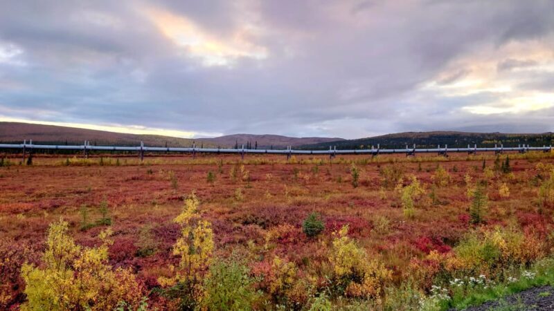 Full Day Arctic Circle Adventure From Fairbanks - Full Day Arctic Circle Adventure From Fairbanks: An In-Depth Review