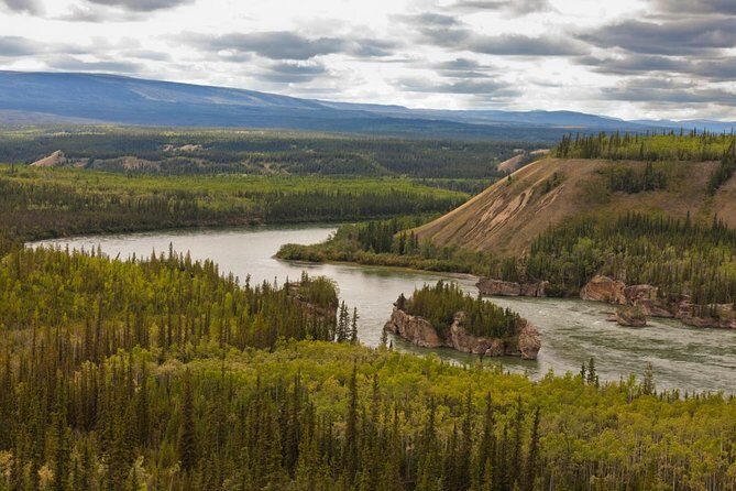 Full Day Arctic Circle Experience with Lunch - An In-Depth Look at the Arctic Circle Tour