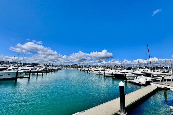 Full-Day Auckland Discovery - Practical Tips for Travelers