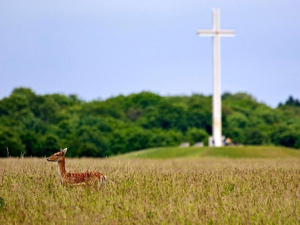 Full-day Award Winning Private Dublin City Highlights Tour - The Sum Up