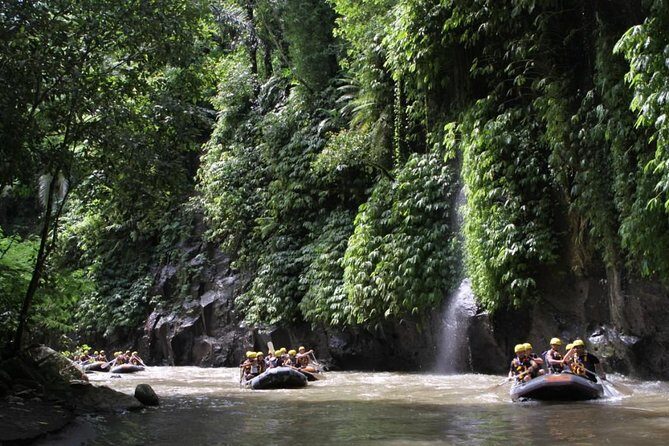 Full-Day Ayung River White Water Rafting and Ubud Tour - FAQ