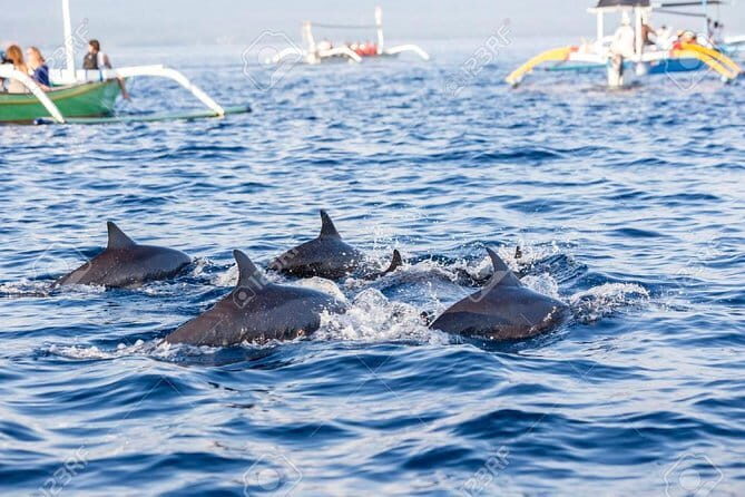 Full-Day Bali Highlights with Dolphin Tour - An In-Depth Review of the Full-Day Bali Highlights with Dolphin Tour
