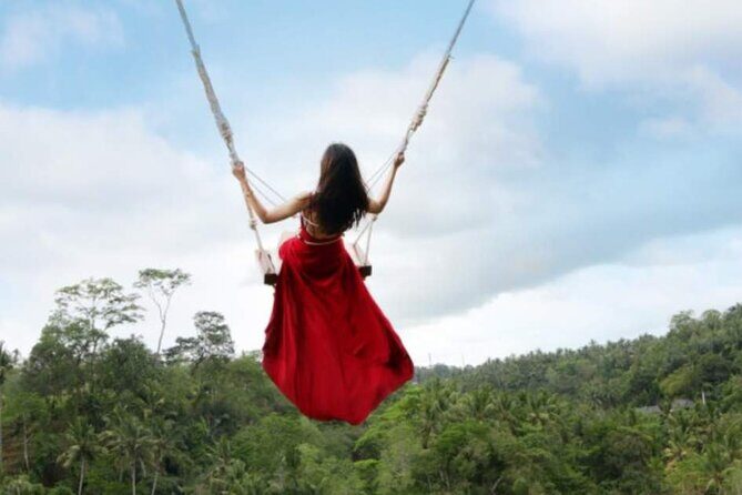 Full-Day Bali Private Car and Chauffeur Driver - Why This Tour Offers Good Value