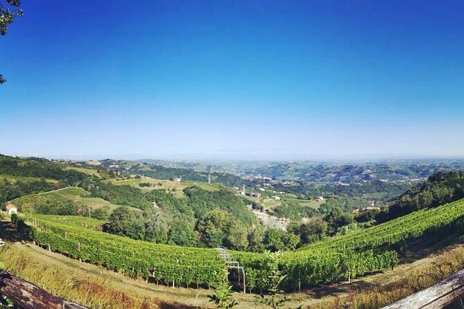 Full day Barolo&Barbaresco Wine Tour from Milano with a local winemaker - Discover the Charm of Piedmont on a Full Day Barolo & Barbaresco Wine Tour from Milan