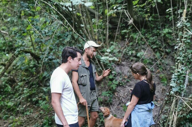 Full day Barolo&Barbaresco Wine Tour from Torino with a local winemaker - The Sum Up