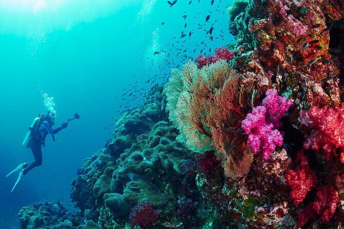 Full-Day Beginner Scuba Course with Private Tuition, Racha Yai - The Sum Up