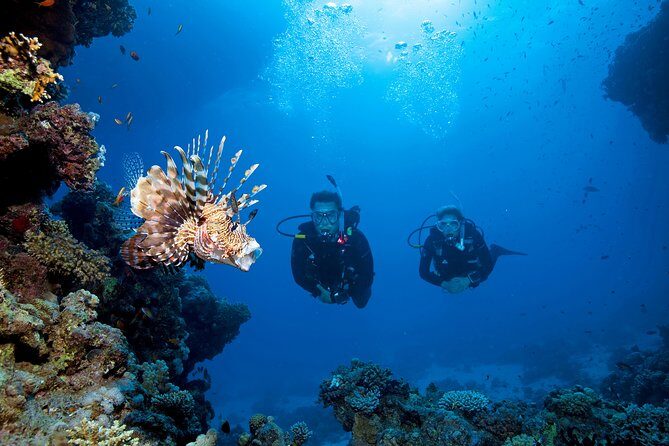 Full-Day Beginner Scuba Course with Private Tuition, Racha Yai - FAQ