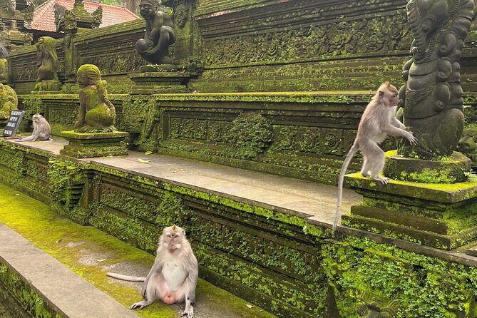 Full Day Best of Ubud Private Tour - Is This Tour Right for You?