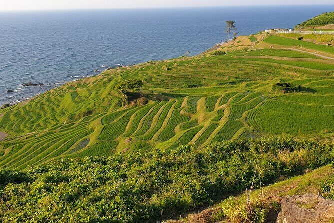 Full-Day Bicycle Tour on the Noto Peninsula - Why Choose the Full-Day Noto Bicycle Tour?
