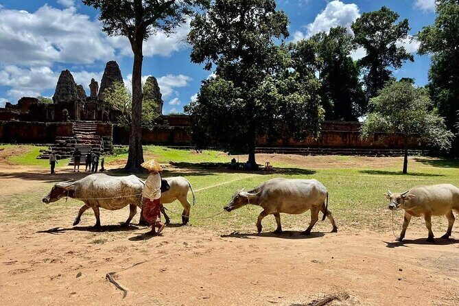Full-Day 'Big Tour' with Sunset at Phnom Bakheng - Who Is This Tour Best Suited For?