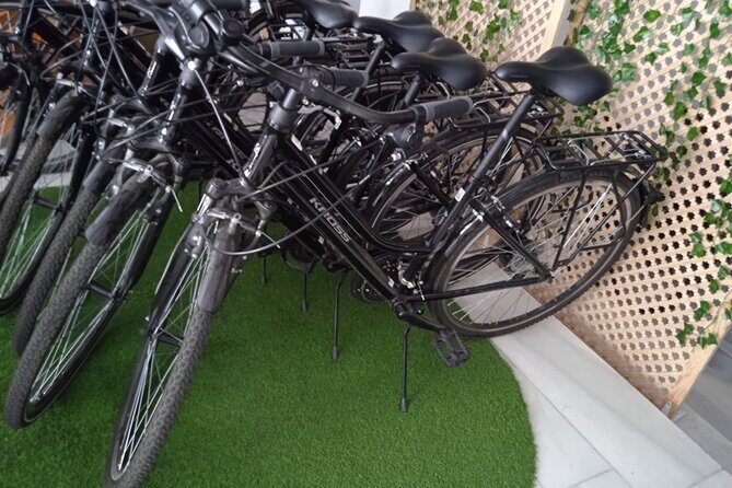 Full Day Bike Rental in Seville - A Deep Dive into the Full Day Bike Rental Experience in Seville