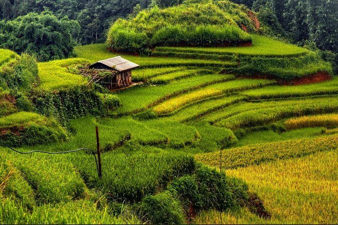 Full day - Biking tour in Sapa - FAQ