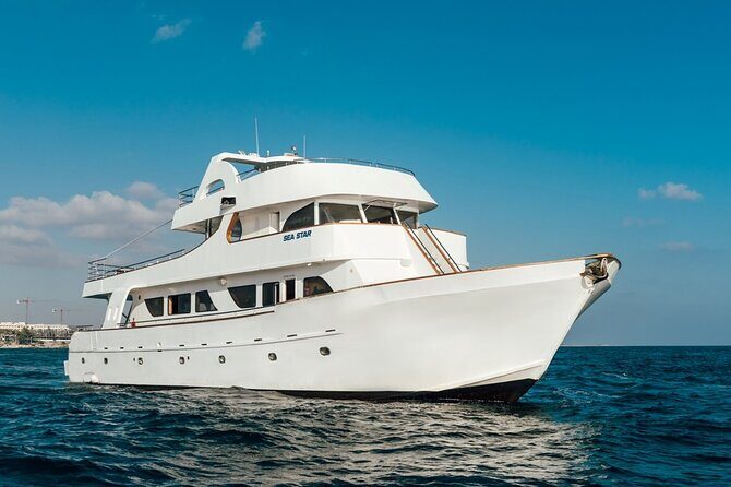 Full Day Blue Lagoon Cruise (Paphos to Latchi) - Sea Star - Final Thoughts: Is It Worth It?